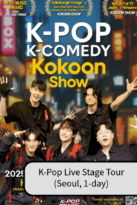 1-Day K-Pop Concert Experience